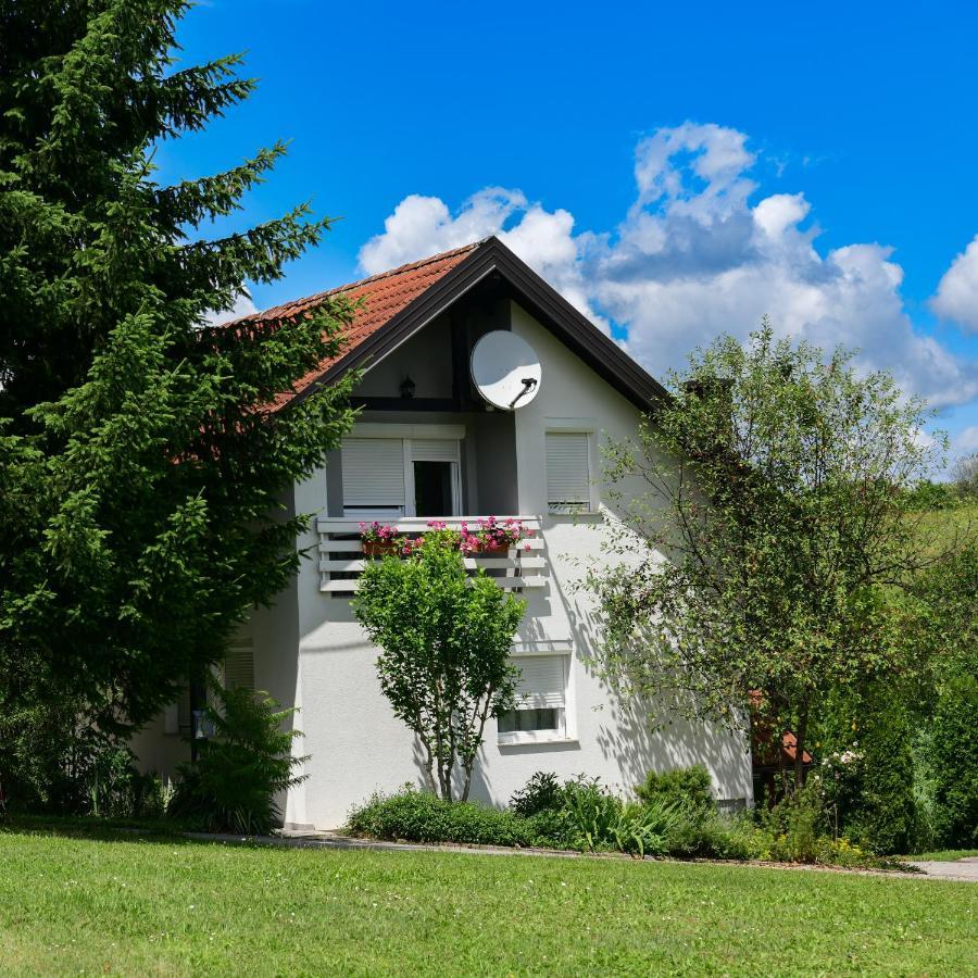 Apartments Marija Раковица Экстерьер фото